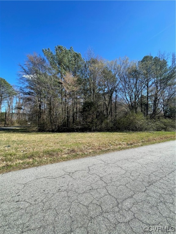 0 South Halifax Road Jarratt, VA 23867 - Photo 11 of 12 Gallery Image 11