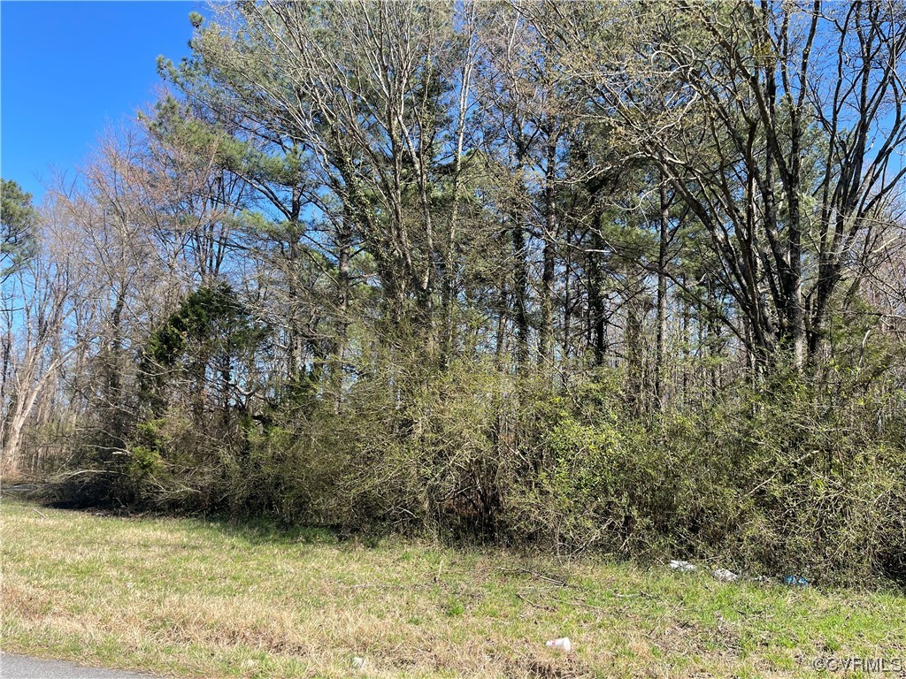 0 South Halifax Road Jarratt, VA 23867 - Photo 5 of 12 Gallery Image 5