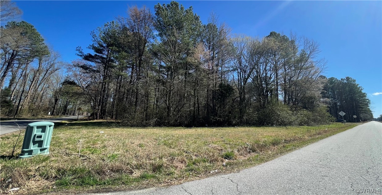 0 South Halifax Road Jarratt, VA 23867 - Photo 6 of 12 Gallery Image 6