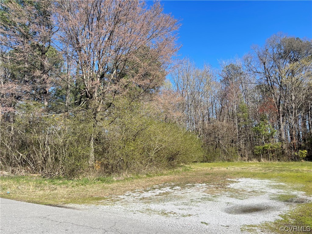 0 South Halifax Road Jarratt, VA 23867 - Photo 8 of 12 Gallery Image 8