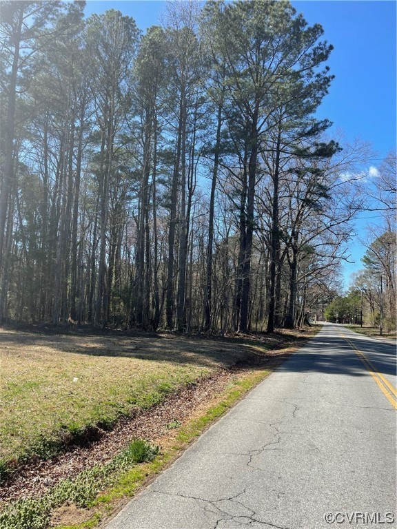 0 South Halifax Road Jarratt, VA 23867 - Photo 10 of 12 Gallery Image 10