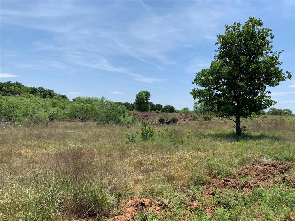 46.86-acres Stewart Ranch Road Loving, TX 76460 - Photo 4 of 17 a view of a yard with a tree