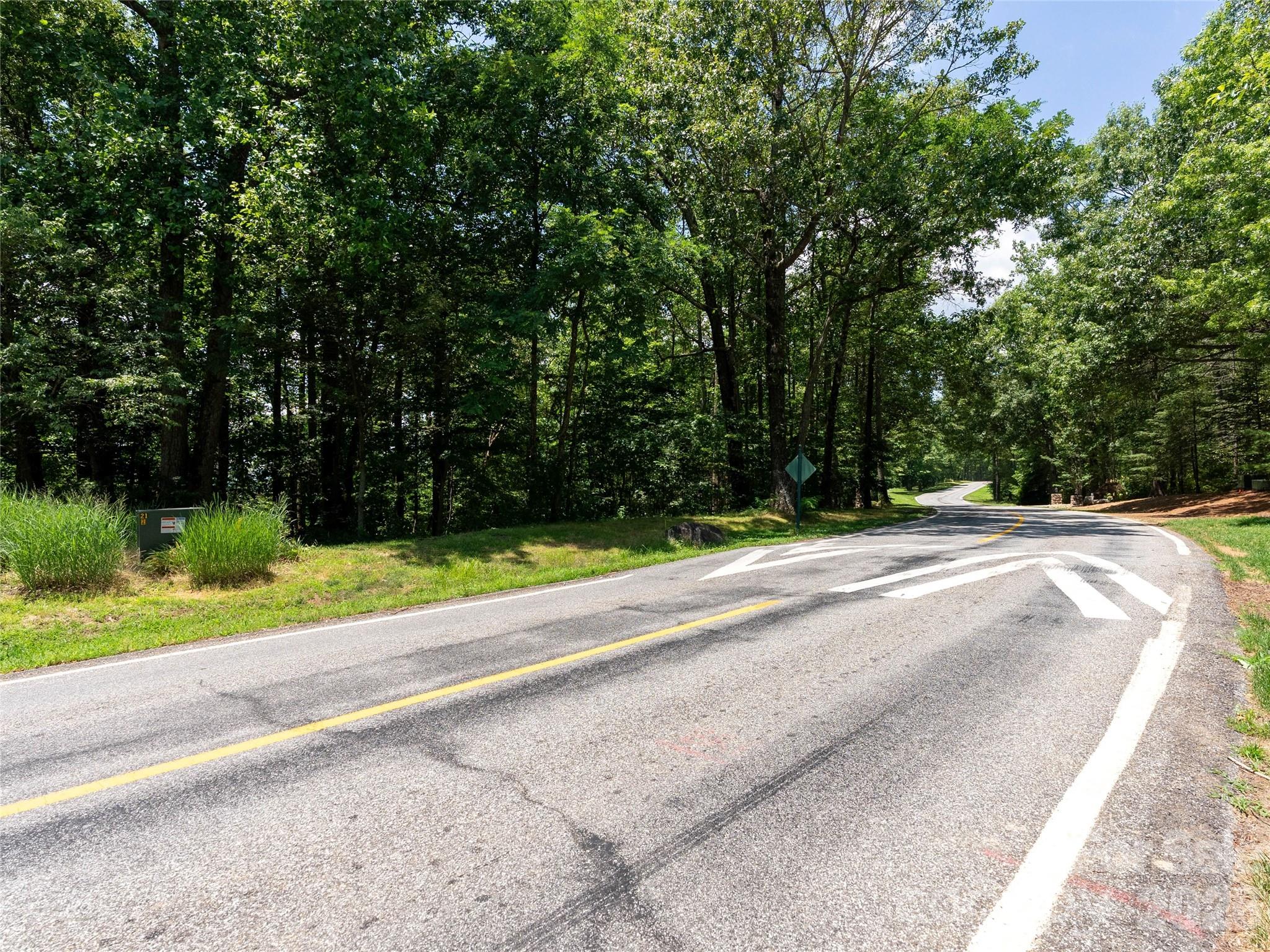 Lot 22 Plumley Summit Road, Unit 22 Landrum, SC 29356 - Photo 14 of 27