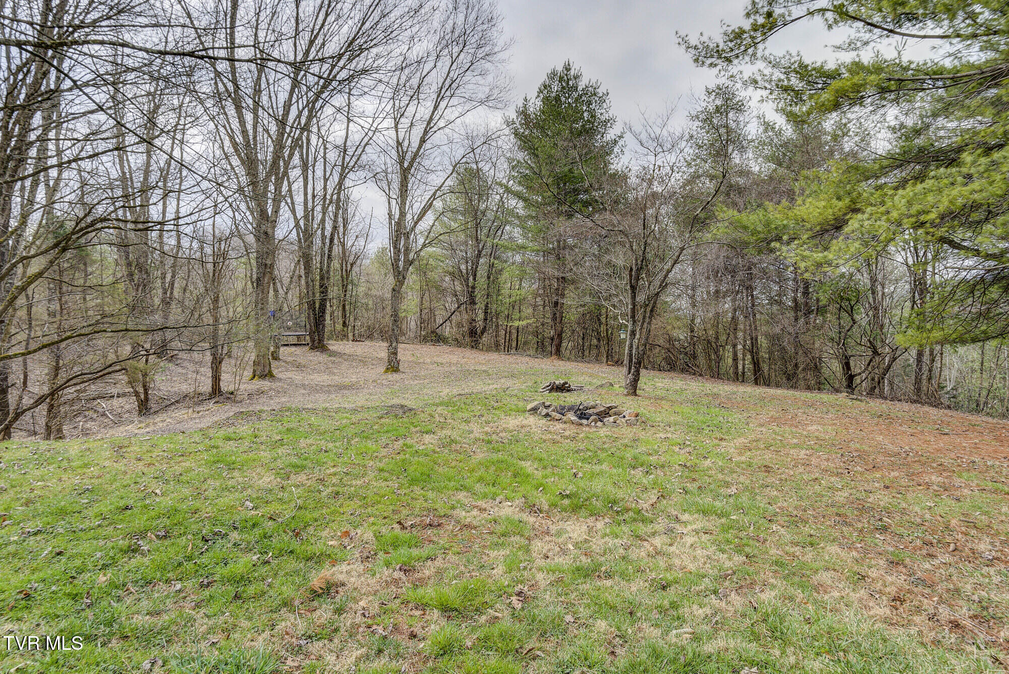 135 Earl Williams Road Elizabethton, TN 37643 - Photo 11 of 66 Earl-32