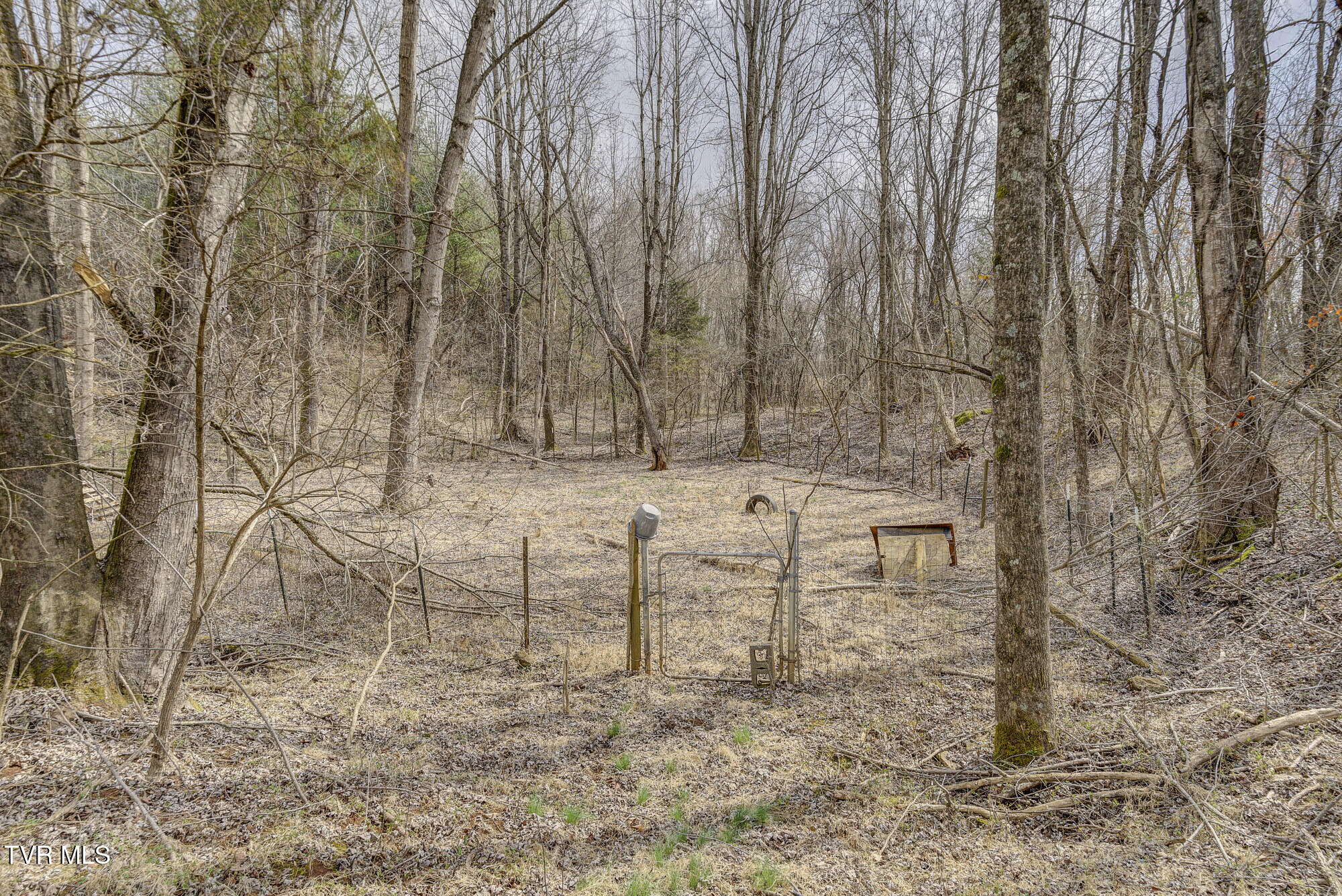 135 Earl Williams Road Elizabethton, TN 37643 - Photo 13 of 66 Earl-35