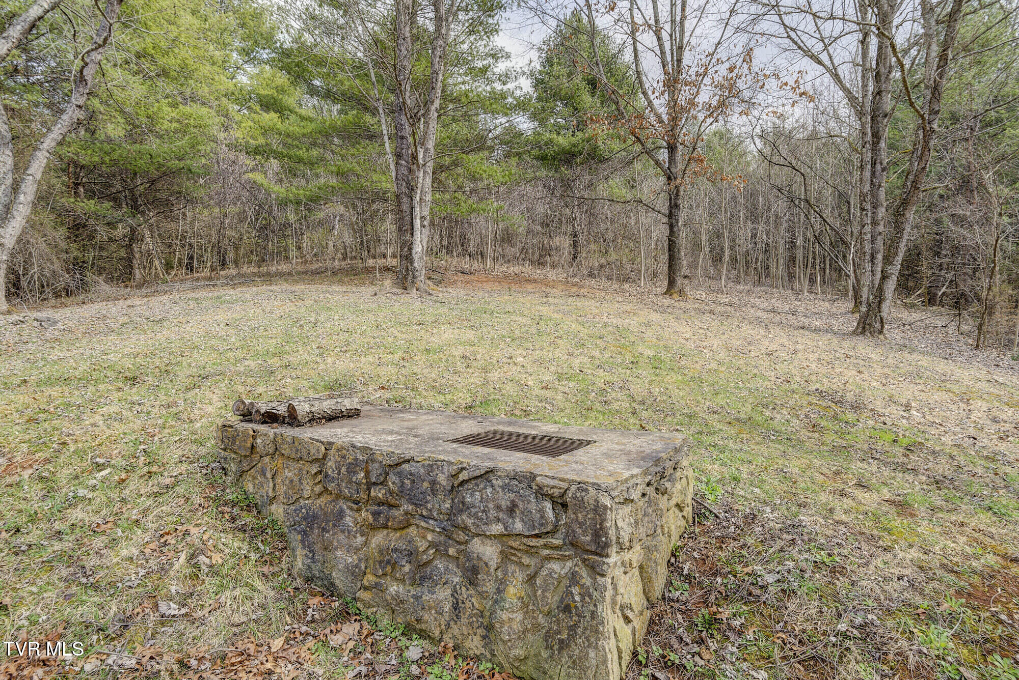 135 Earl Williams Road Elizabethton, TN 37643 - Photo 14 of 66 Earl-39