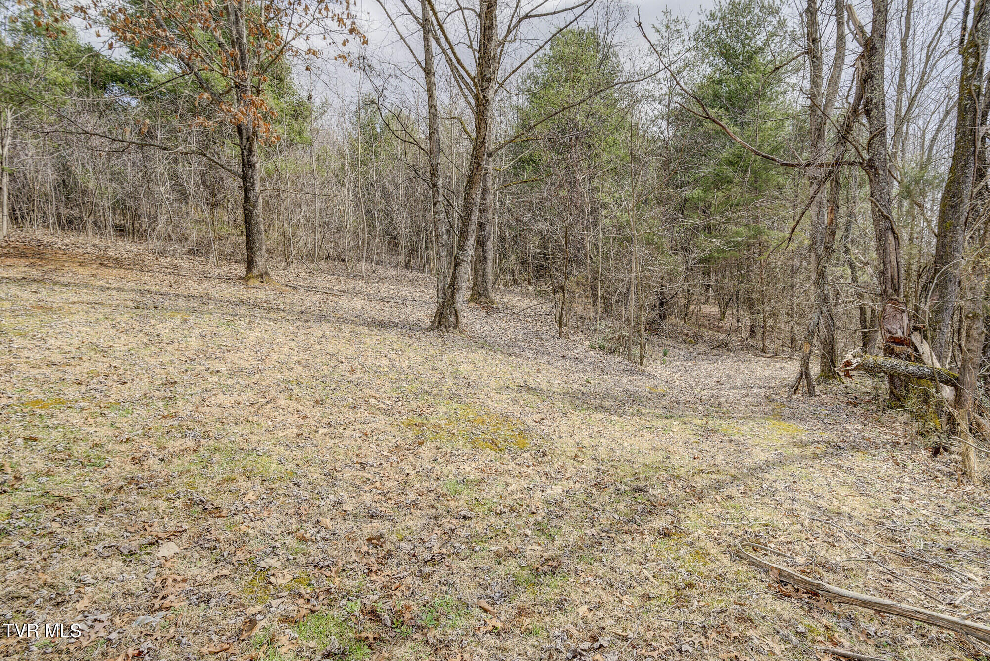 135 Earl Williams Road Elizabethton, TN 37643 - Photo 15 of 66 Earl-40