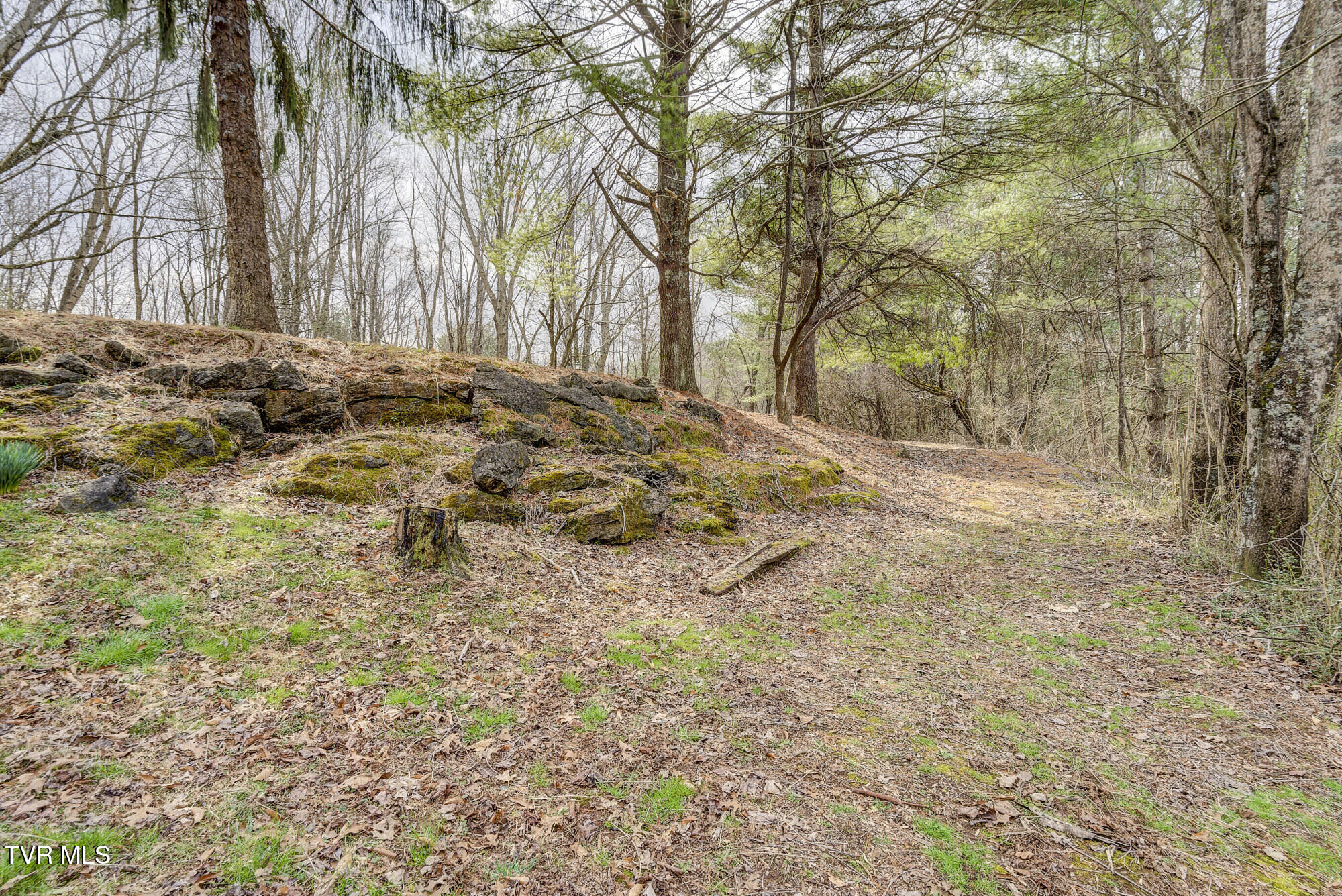 135 Earl Williams Road Elizabethton, TN 37643 - Photo 16 of 66 Earl-43