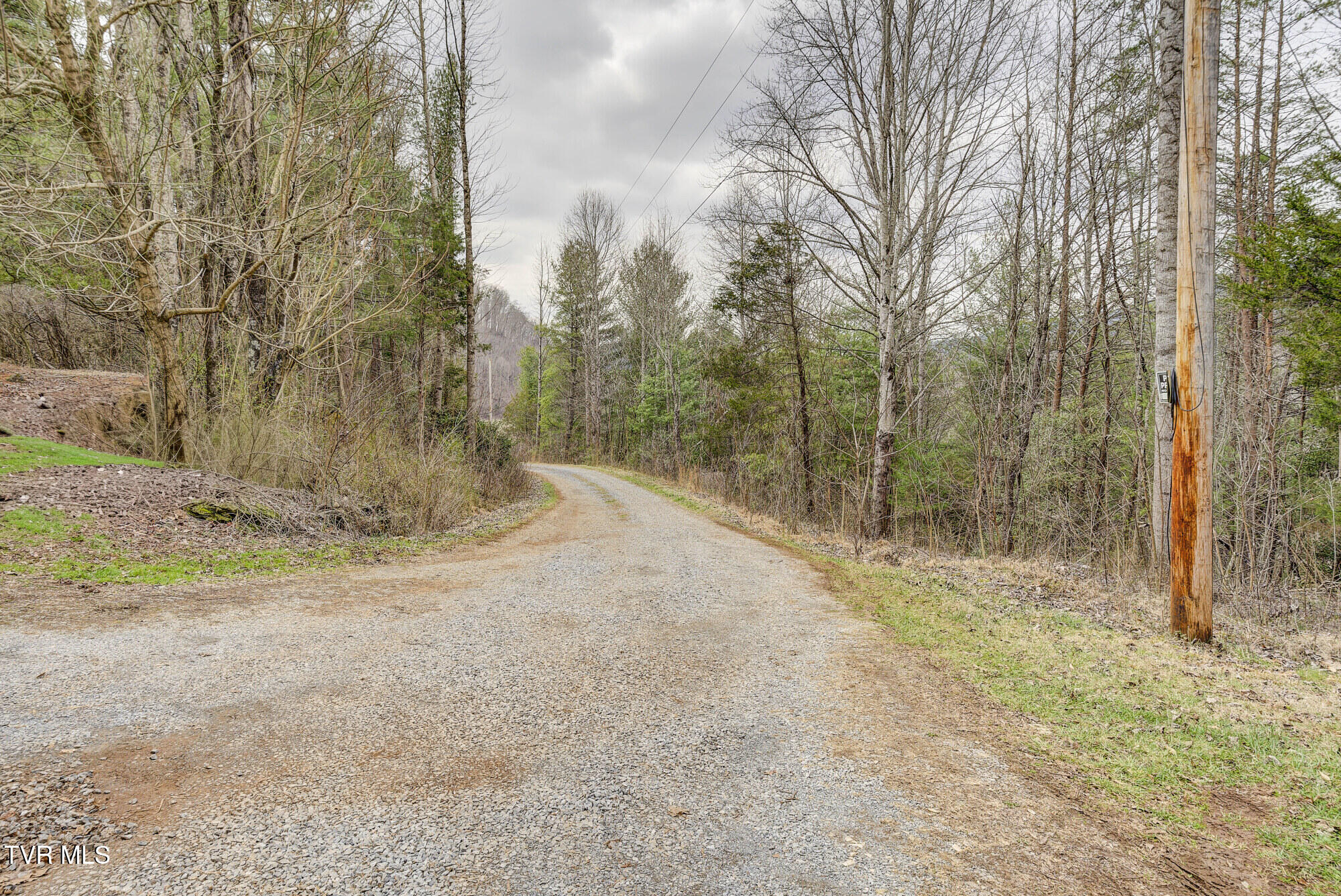 135 Earl Williams Road Elizabethton, TN 37643 - Photo 17 of 66 Earl-46