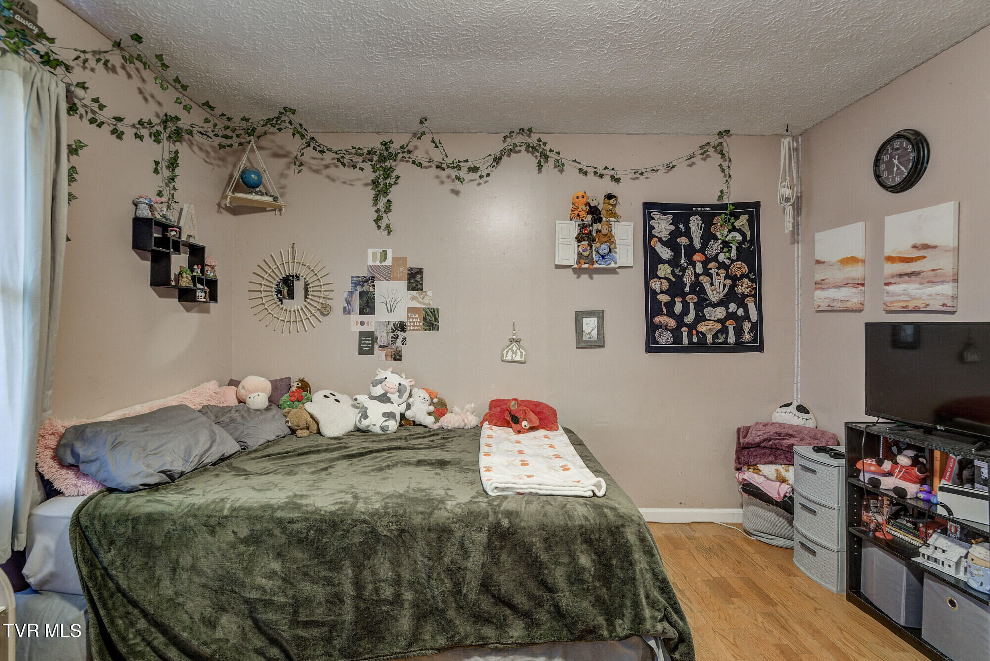 135 Earl Williams Road Elizabethton, TN 37643 - Photo 31 of 66 Earl-13