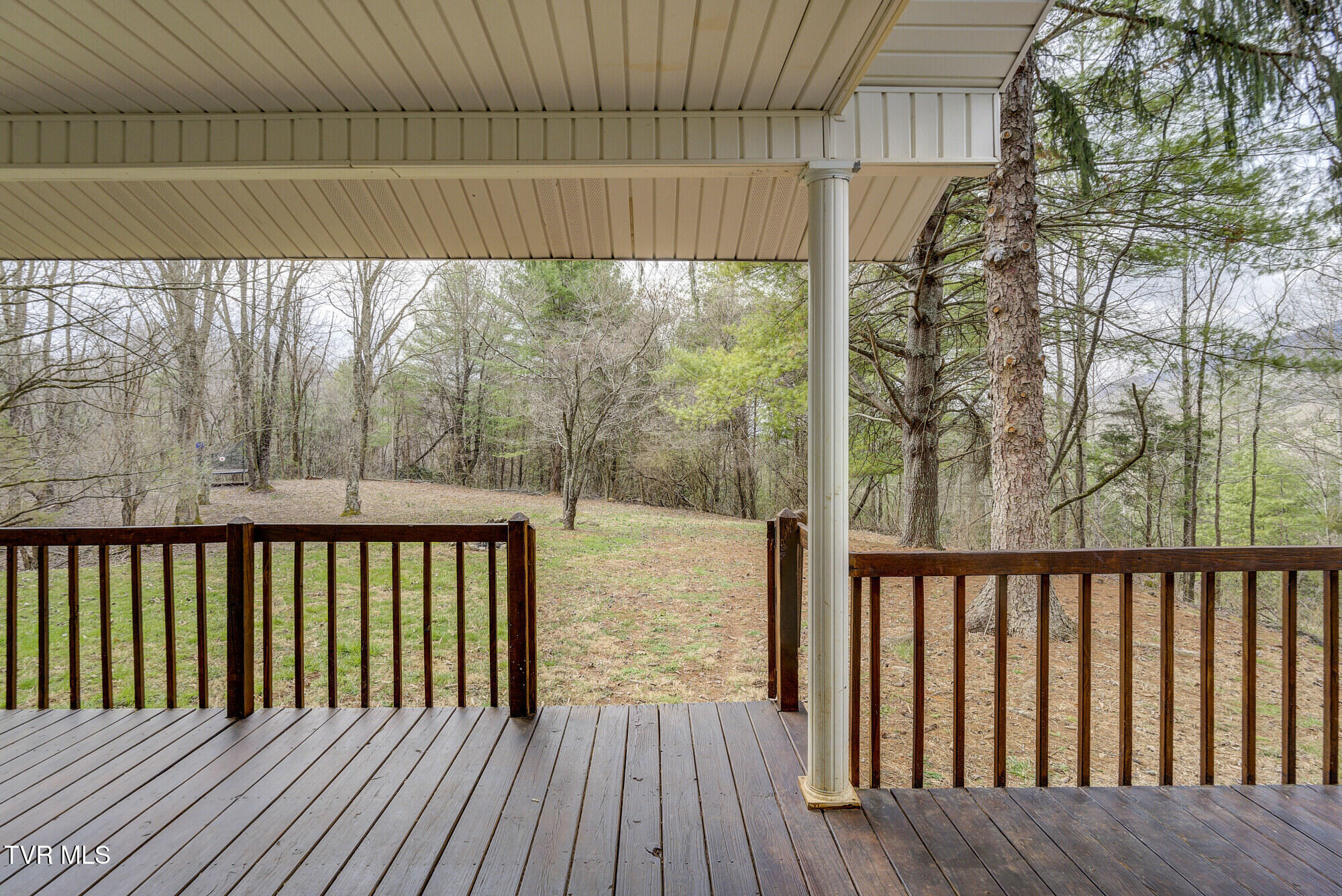 135 Earl Williams Road Elizabethton, TN 37643 - Photo 8 of 66 Earl-30