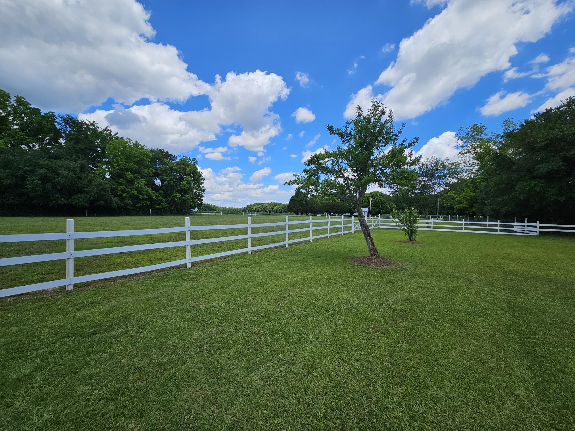 2983 State Rd S-14-810 Manning, SC 29102 - Photo 11 of 54 PASTURE AREA