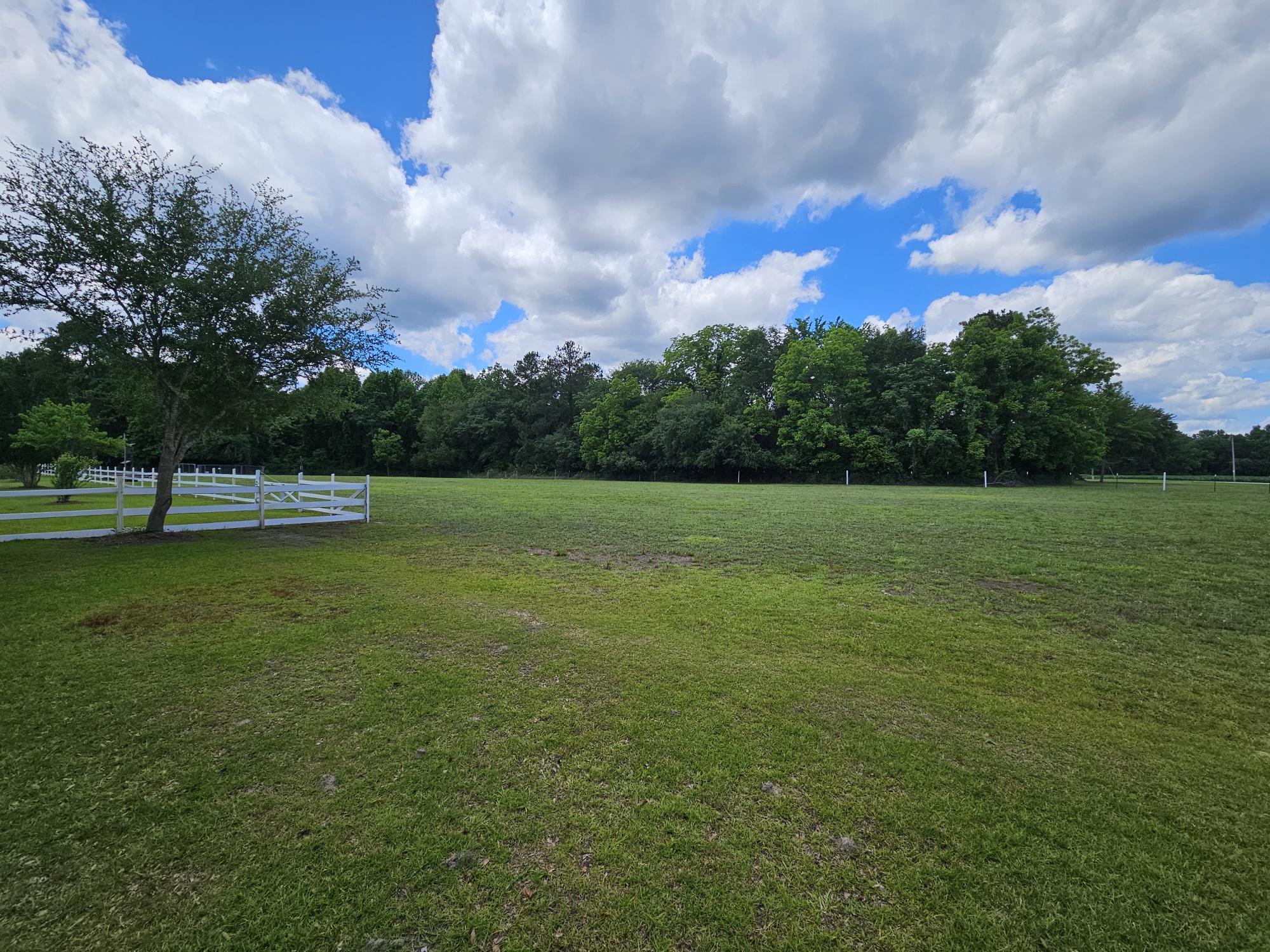 2983 State Rd S-14-810 Manning, SC 29102 - Photo 12 of 54 PASTURE AREA