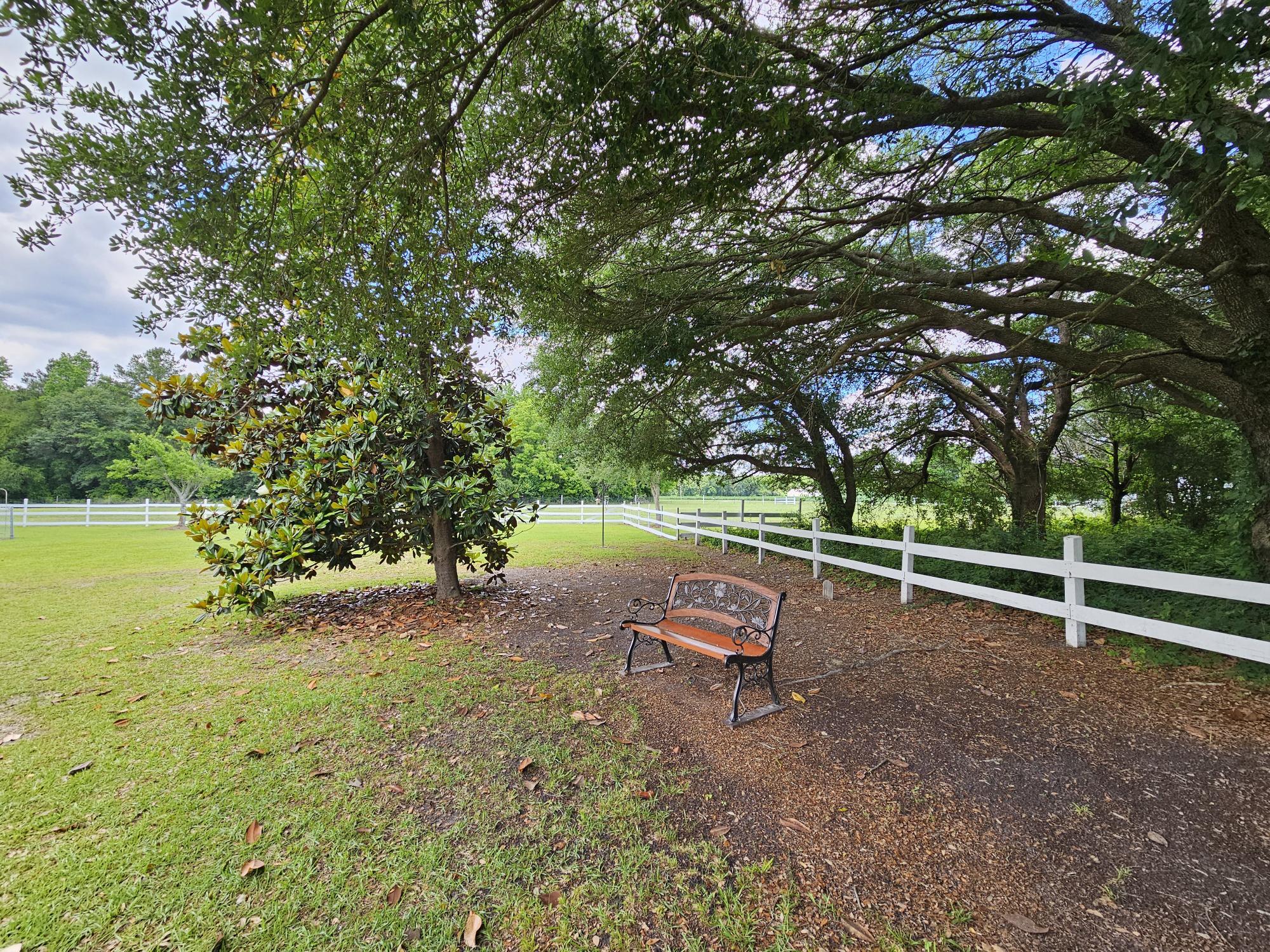 2983 State Rd S-14-810 Manning, SC 29102 - Photo 13 of 54 BEAUTIFUL LIVE OAKS