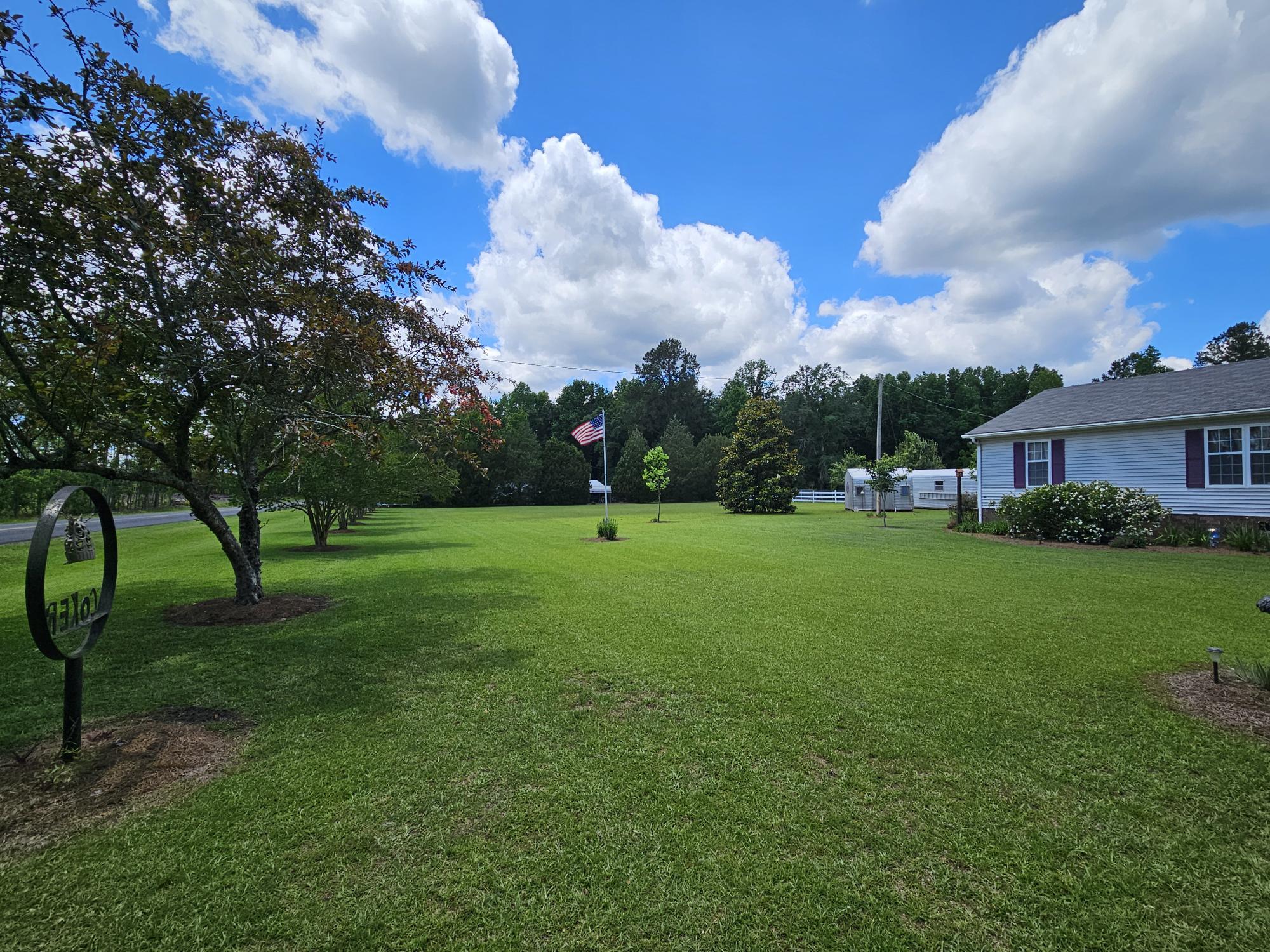 2983 State Rd S-14-810 Manning, SC 29102 - Photo 4 of 54 SIDE YARD