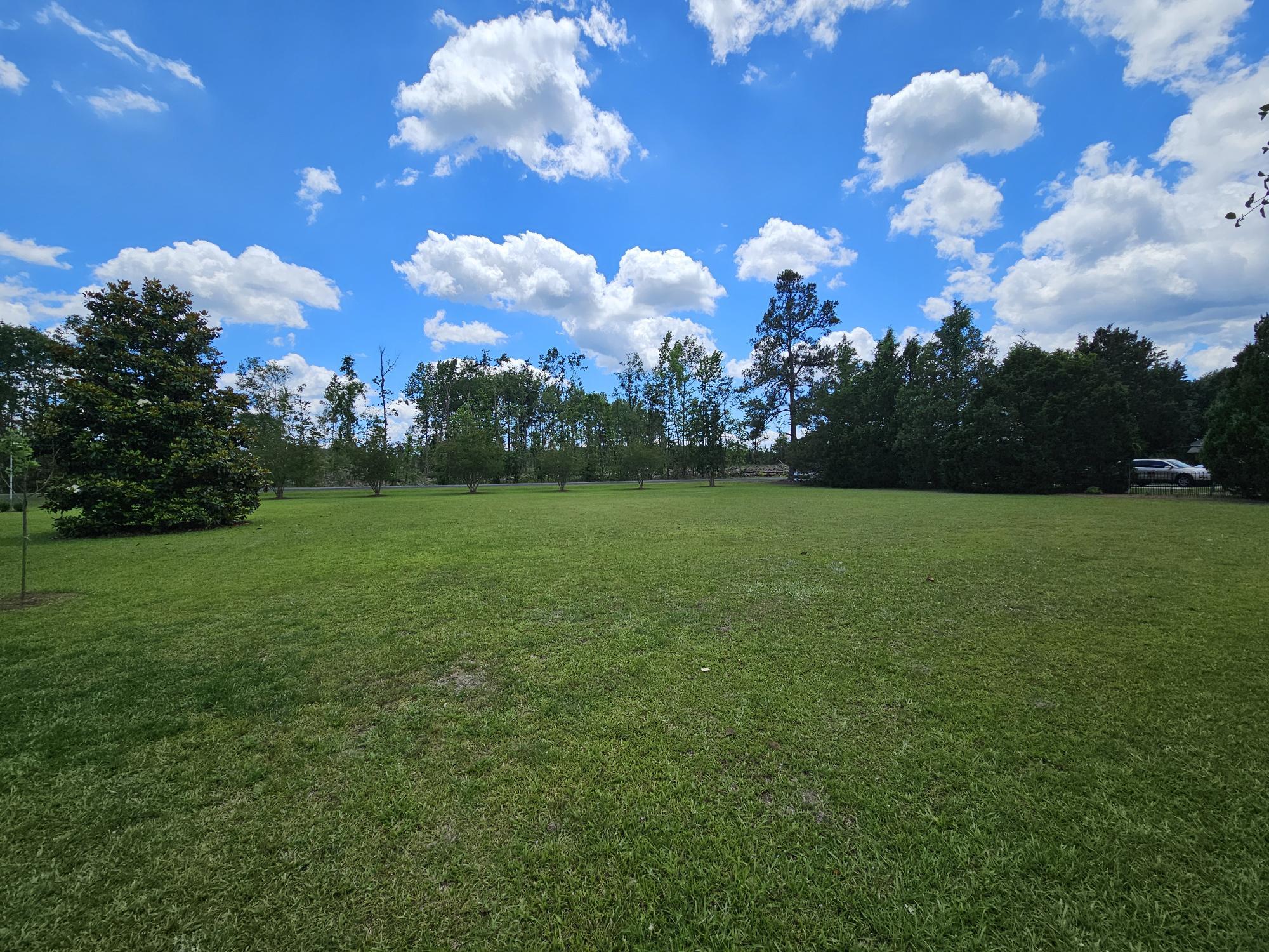 2983 State Rd S-14-810 Manning, SC 29102 - Photo 6 of 54 SIDE YARD