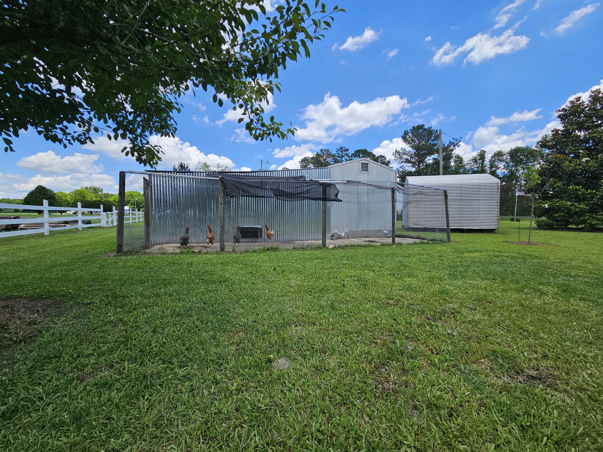 2983 State Rd S-14-810 Manning, SC 29102 - Photo 7 of 54 CHICKEN COOP