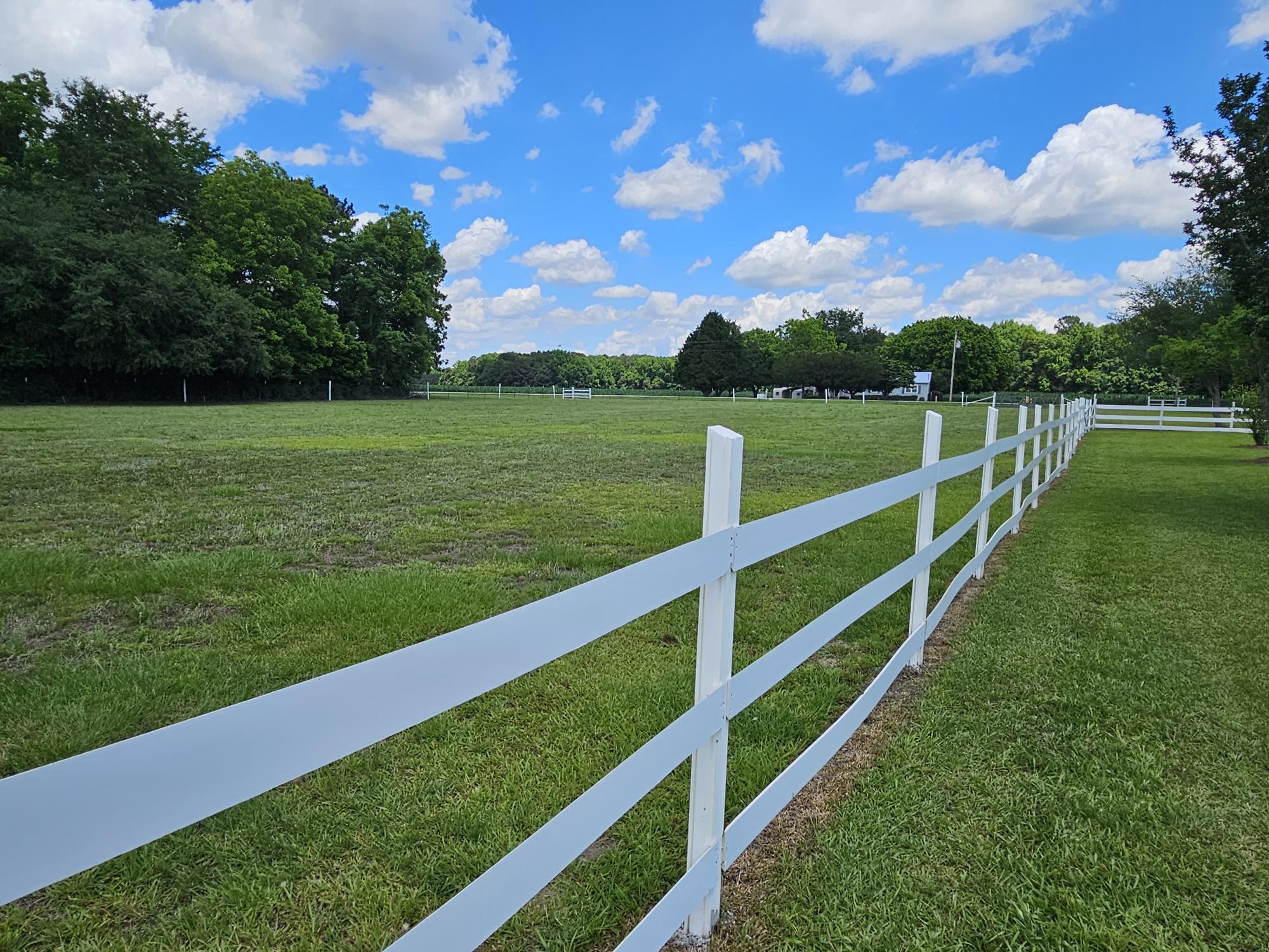 2983 State Rd S-14-810 Manning, SC 29102 - Photo 10 of 54 PASTURE AREA