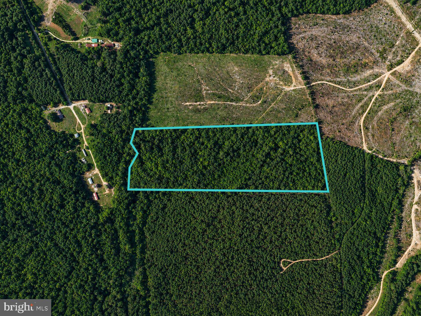 0 Connell Road Brodnax, VA 23920 - Photo 3 of 9
