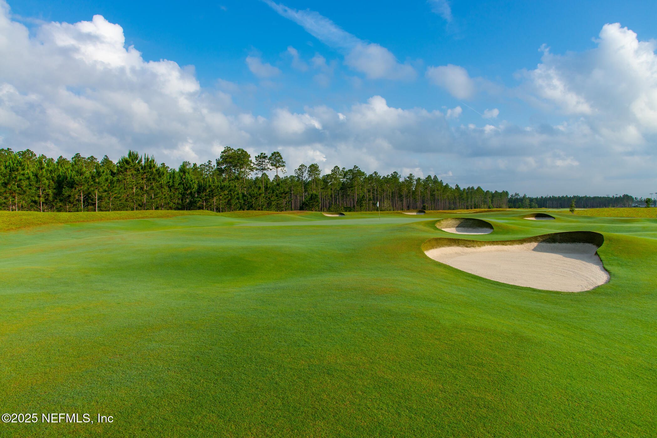 100 Round Robin Run St. Johns, FL 32259 - Photo 15 of 40 a view of a golf course with a lake