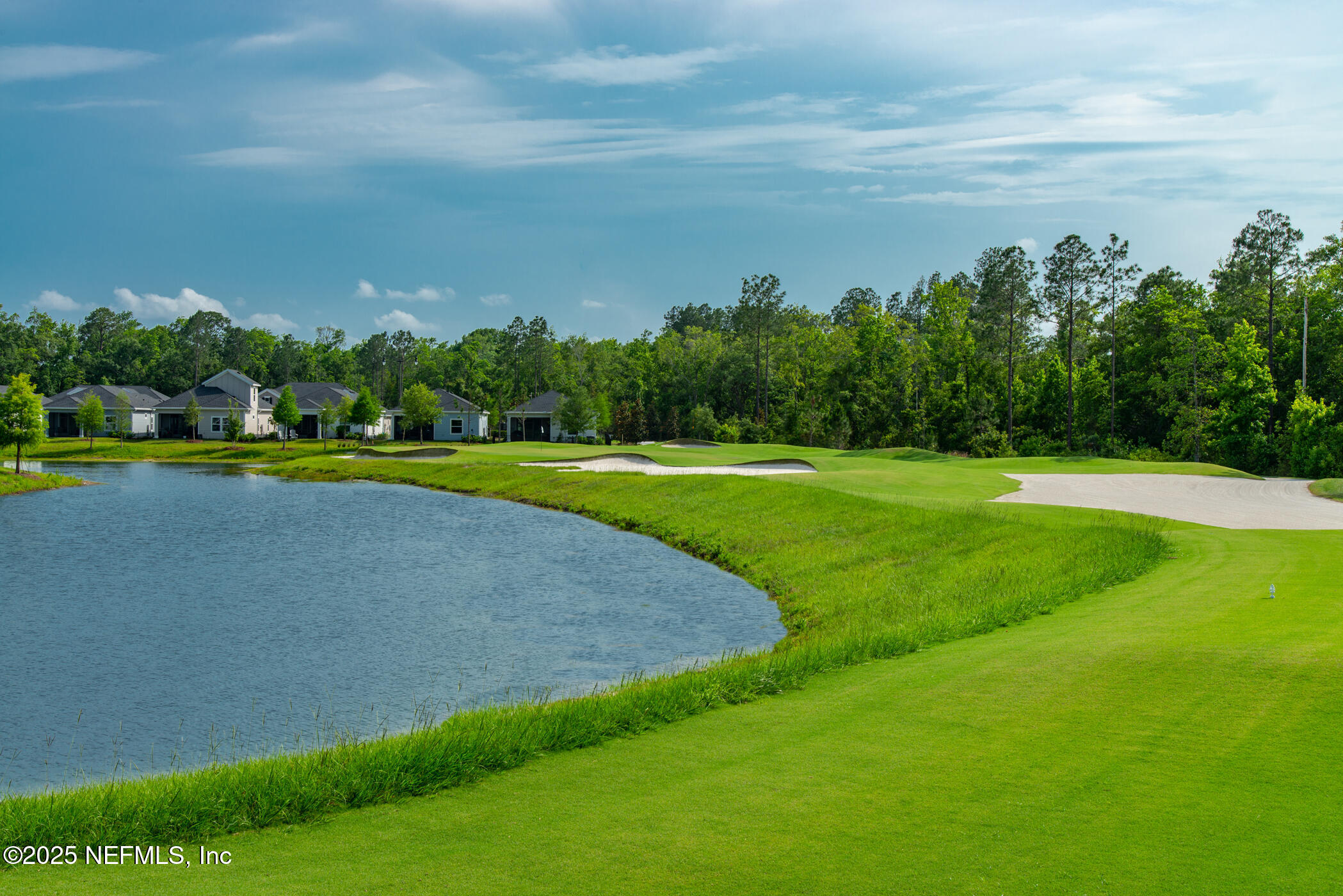 100 Round Robin Run St. Johns, FL 32259 - Photo 17 of 40 a view of a golf course with a lake