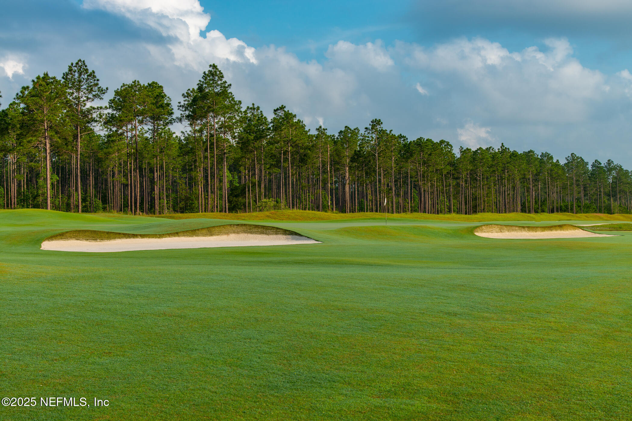 100 Round Robin Run St. Johns, FL 32259 - Photo 19 of 40 a view of a park