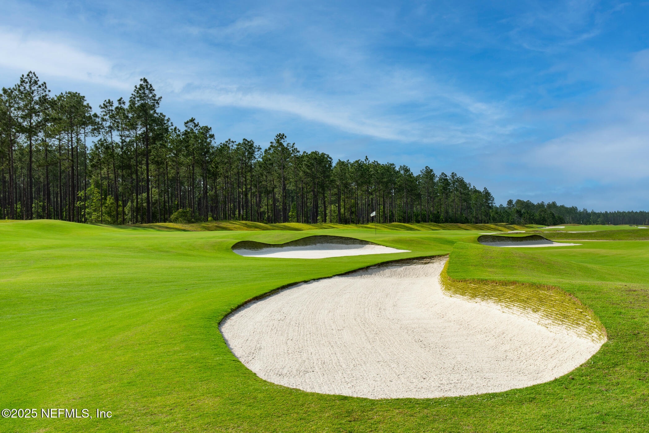 100 Round Robin Run St. Johns, FL 32259 - Photo 20 of 40 a view of a golf course