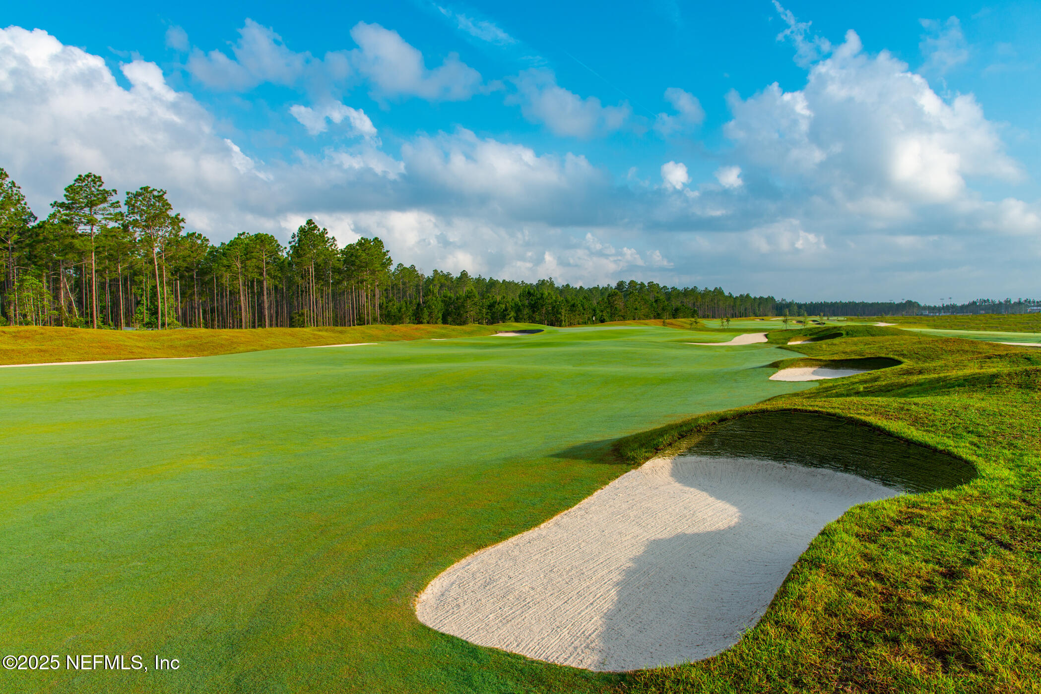 100 Round Robin Run St. Johns, FL 32259 - Photo 21 of 40 a view of a golf course with a lake view