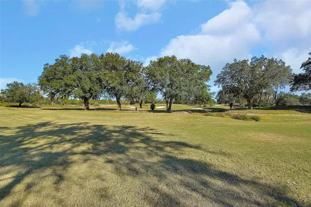 a view of yard with large trees