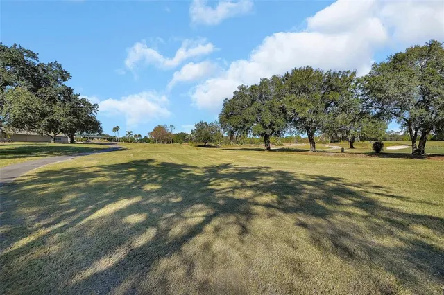 a view of a big yard with large trees