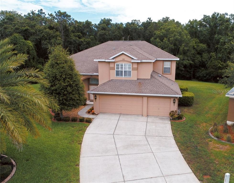 11041 Ragsdale Court New Port Richey, FL 34654 - Photo 1 of 1 Gallery Image 1