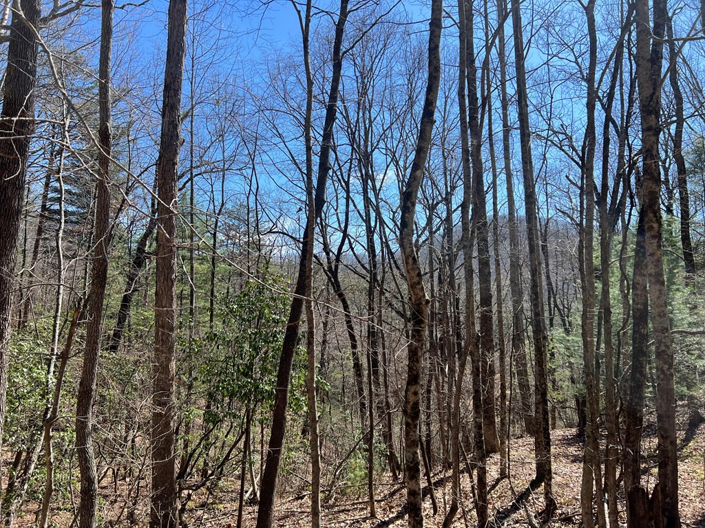 Lots Wolf Mountain Road Murphy, NC 28906 - Photo 20 of 27