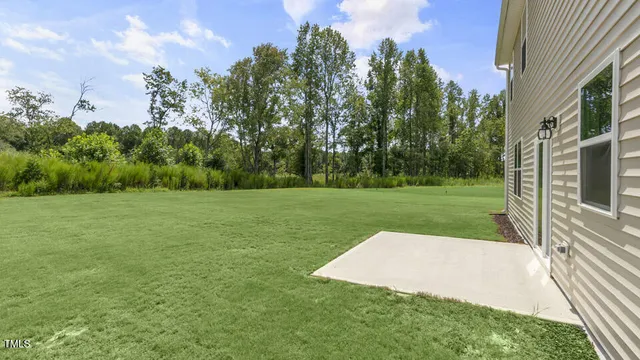 a view of a park with large trees