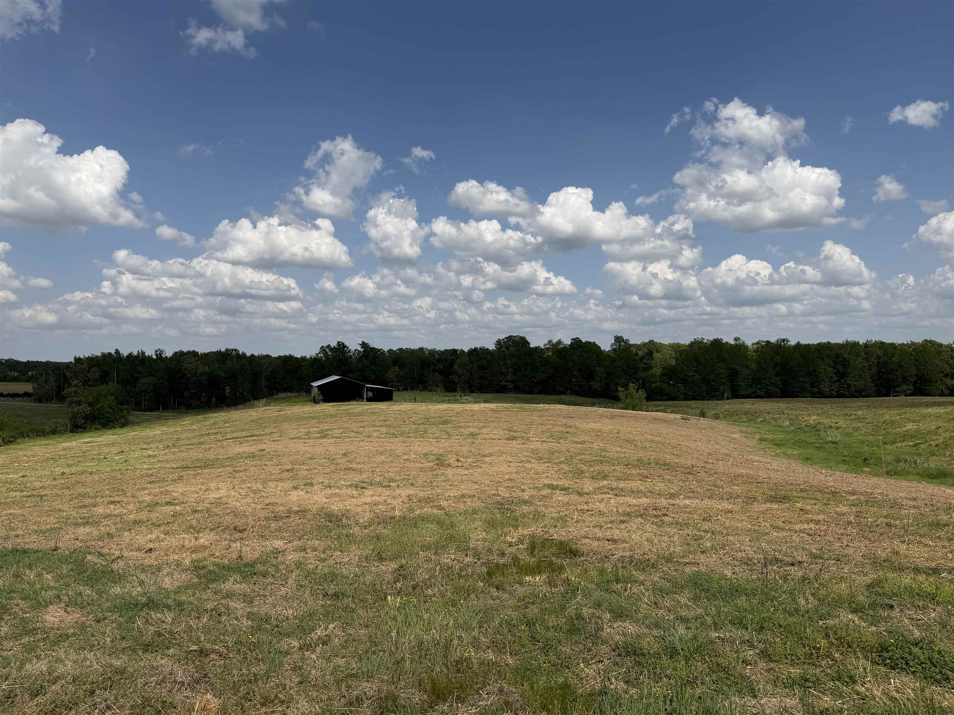 3 Saltillo Road Morris Chapel, TN 38361 - Photo 13 of 40 a view of lake