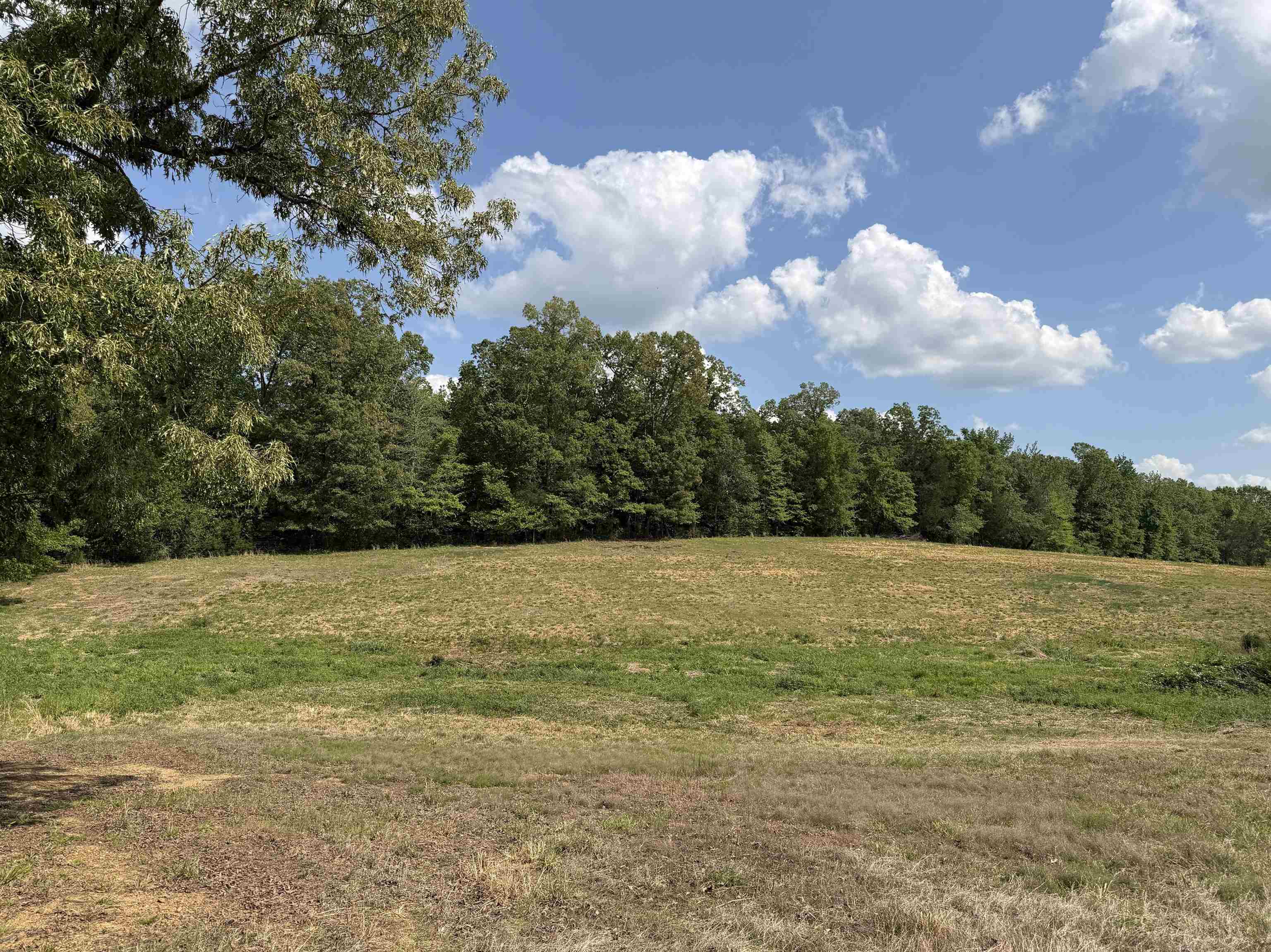 3 Saltillo Road Morris Chapel, TN 38361 - Photo 18 of 40 a view of a field with an ocean