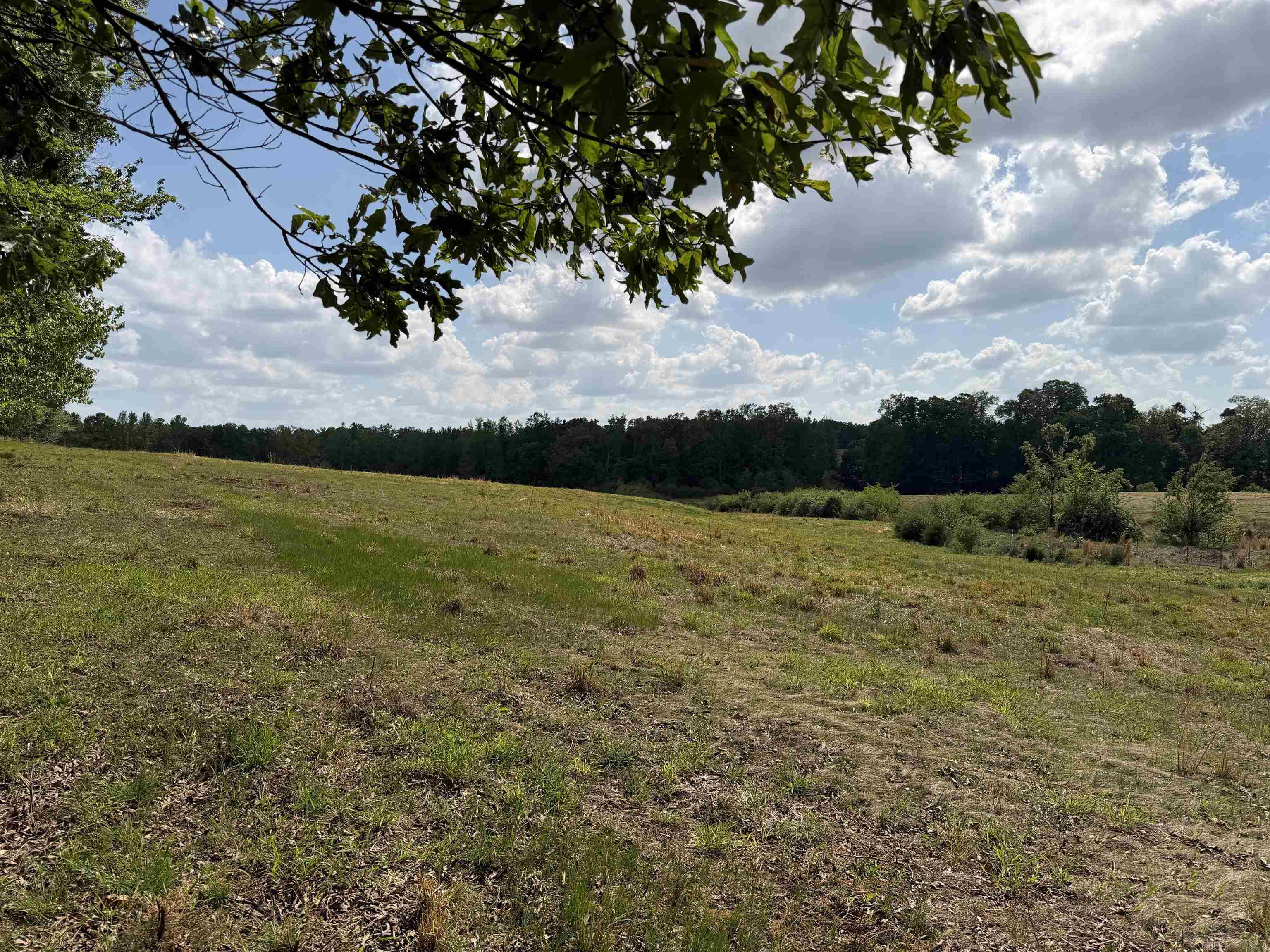 3 Saltillo Road Morris Chapel, TN 38361 - Photo 21 of 40 a view of a lake