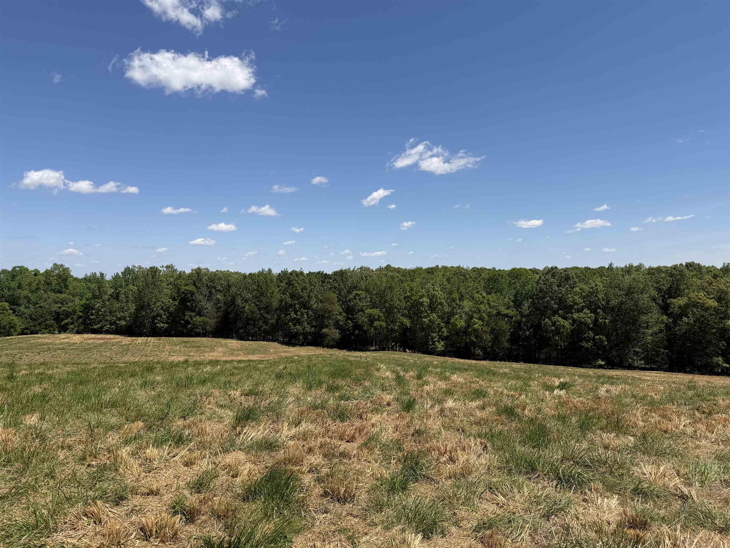 3 Saltillo Road Morris Chapel, TN 38361 - Photo 29 of 40 a view of an outdoor space and a yard