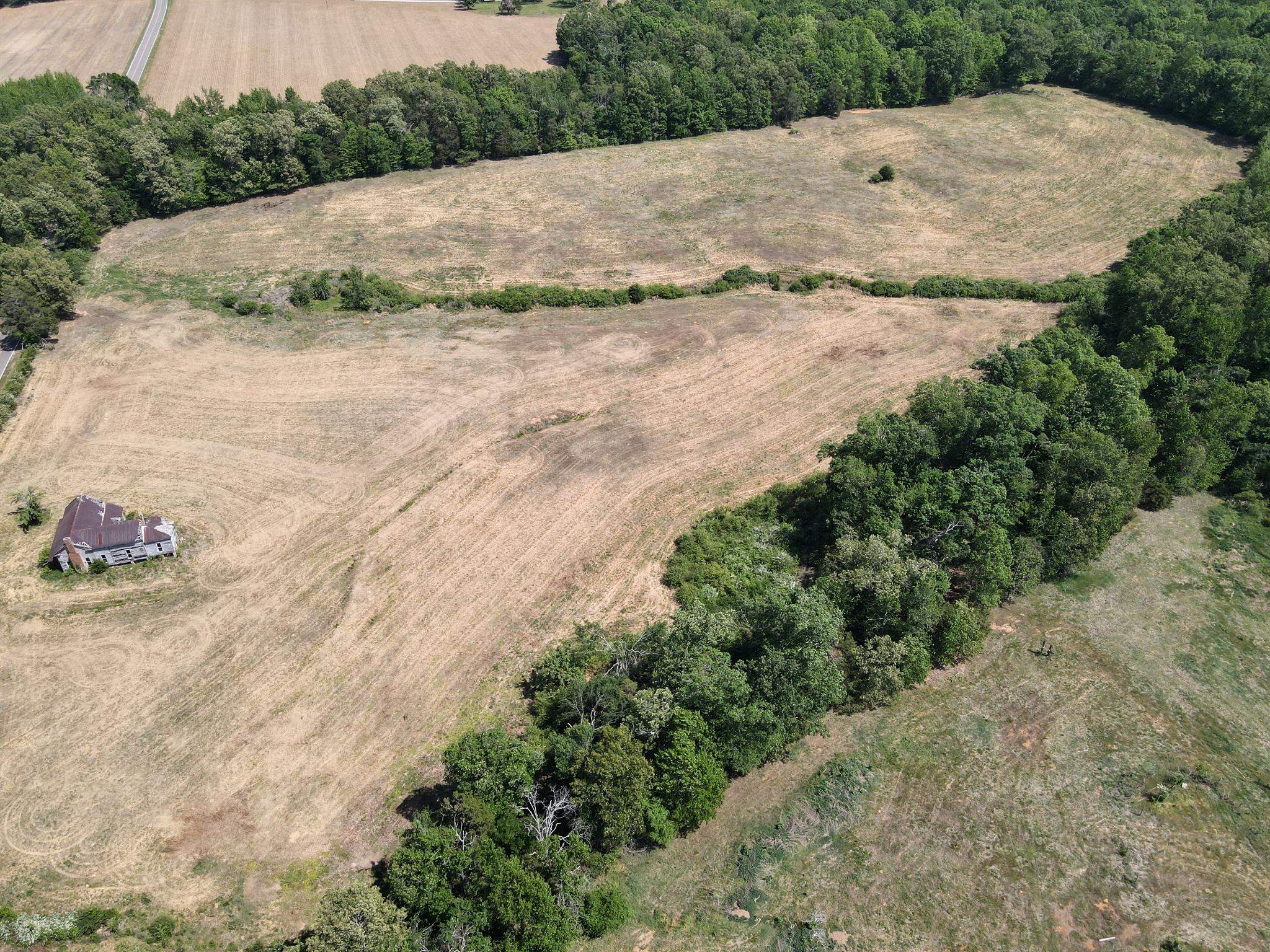 3 Saltillo Road Morris Chapel, TN 38361 - Photo 36 of 40 a view of a dry yard with plants and trees