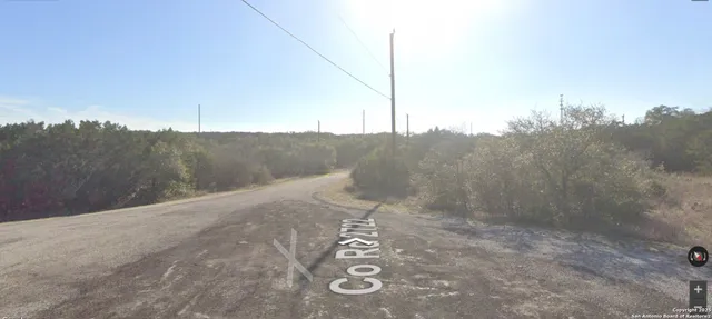 a view of a big yard with large trees