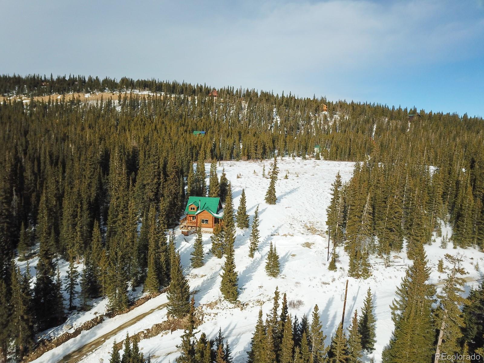 113 Guymard Road Fairplay, CO 80440 - Photo 33 of 33 Gallery Image 33