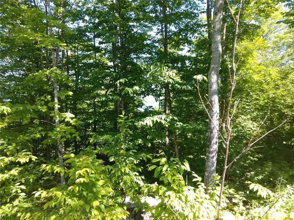 1-6 Moutain Road Linneus, ME 04730 - Photo 5 of 6 Photo