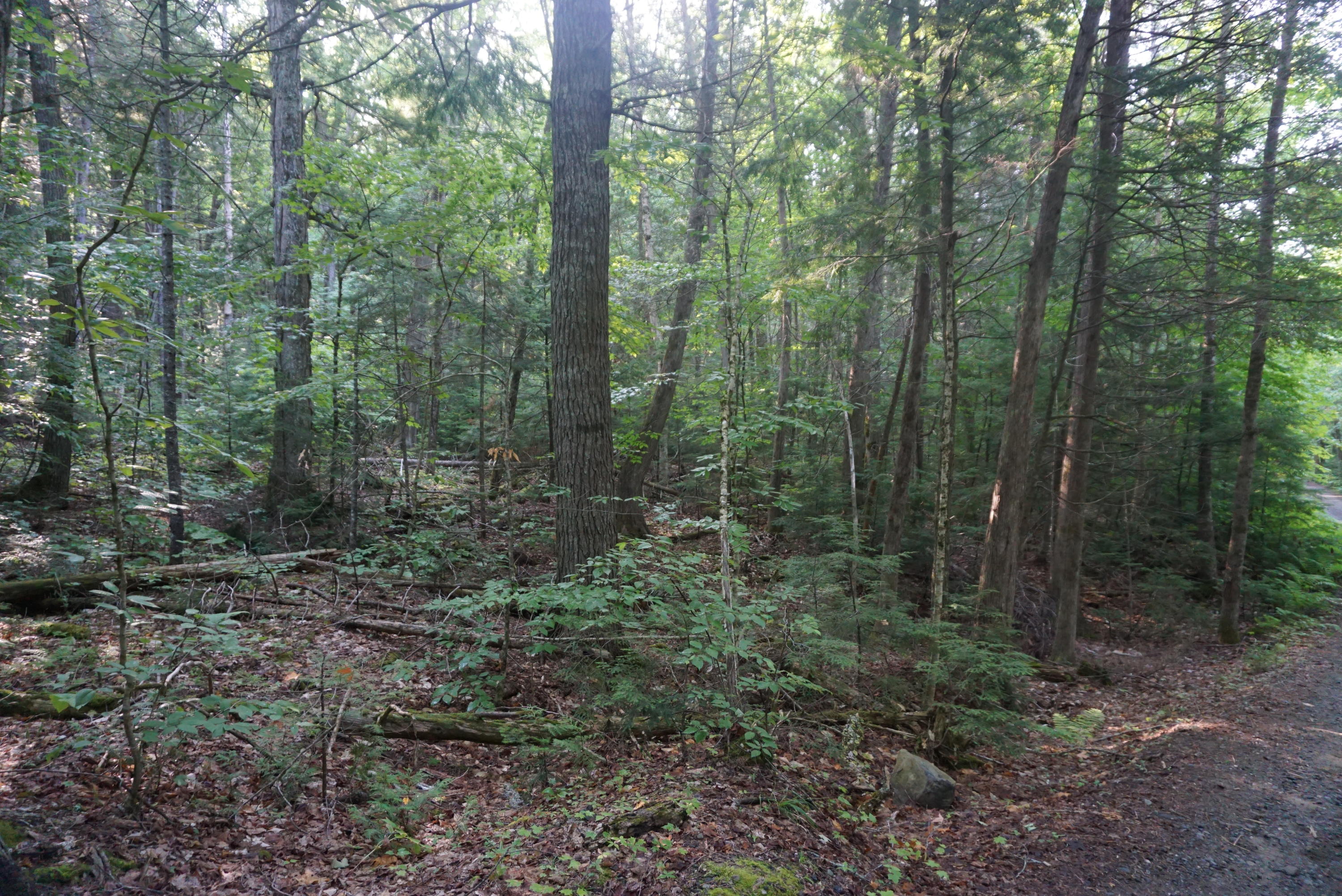 44 B Muzzy Camp Road Greenville, ME 04441 - Photo 10 of 13 B776BB74-37EA-4DE9-8C0F-24BC36EAF465
