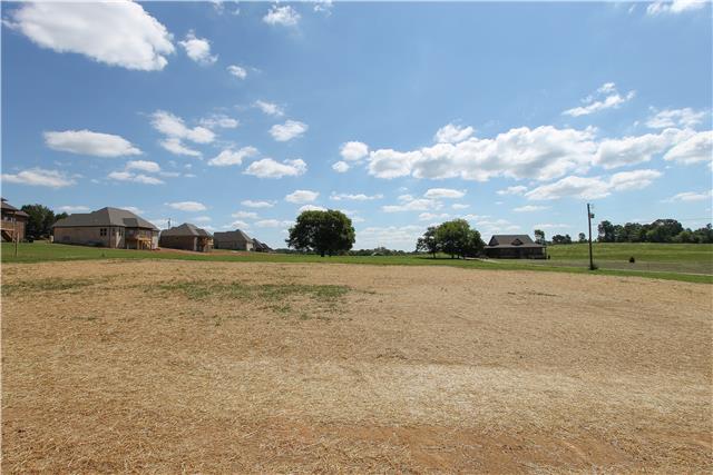 2574 Double Log Cabin Road, Unit 8 Lebanon, TN 37087 - Photo 20 of 20