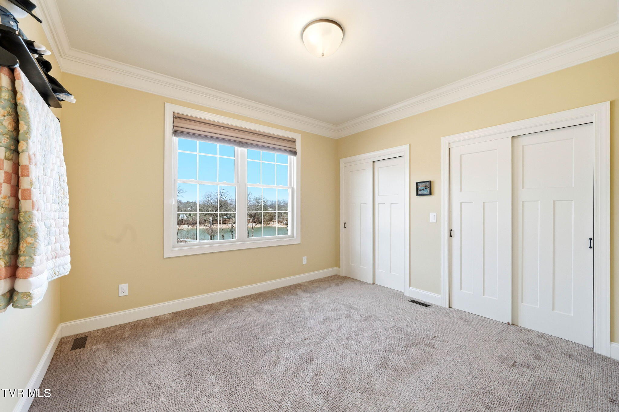 306 Harbor Approach Johnson City, TN 37601 - Photo 23 of 50 8-web-or-mls-306 Harbour Approach-16