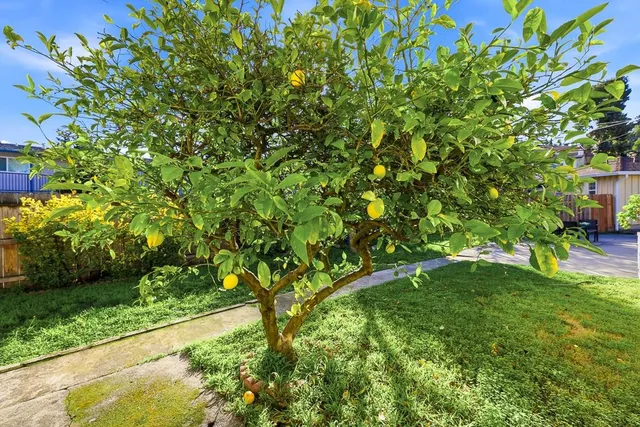 $990,000 | 19790 Stanton Avenue, Castro Valley, CA 94546