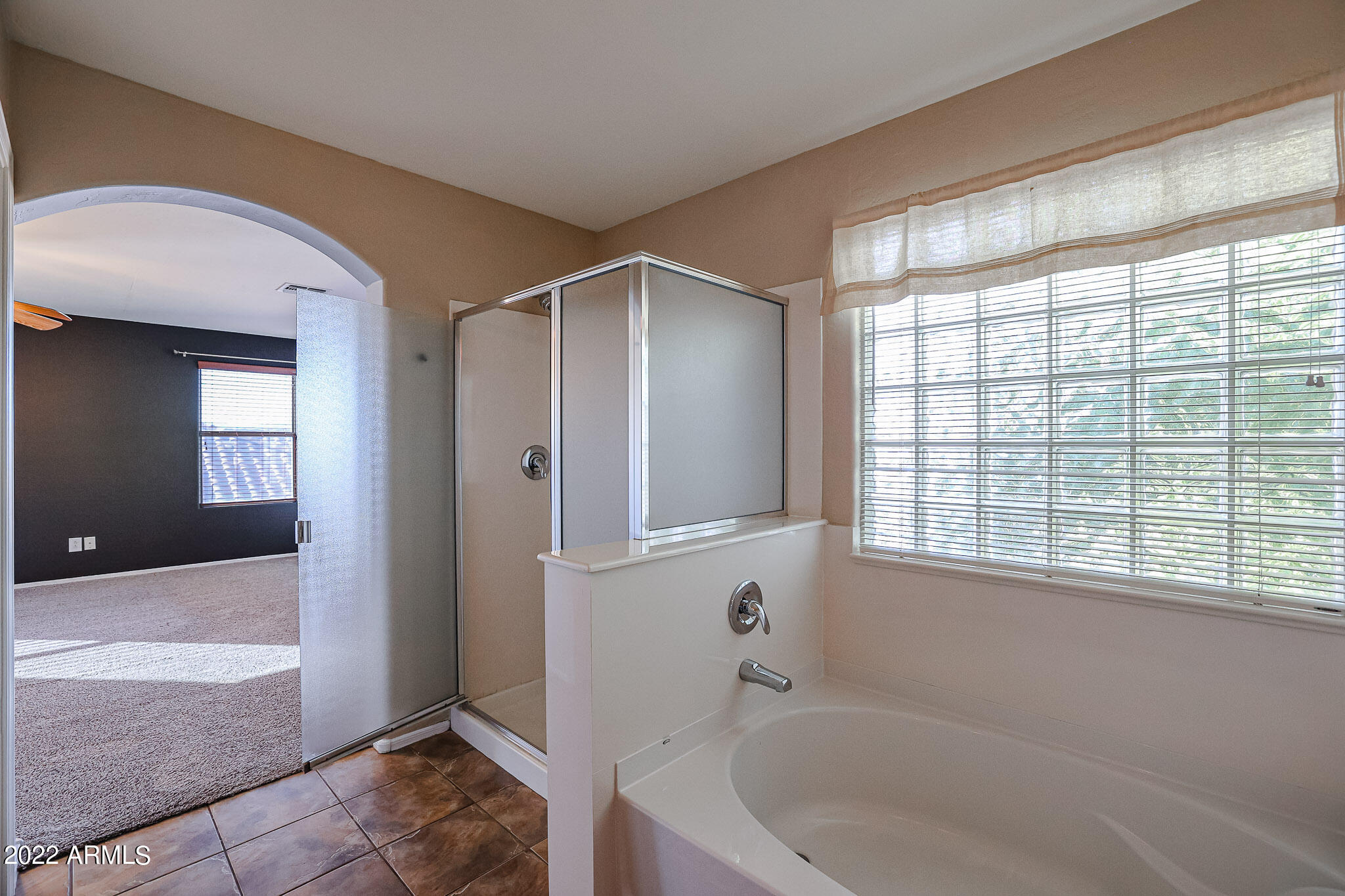 14182 West Boca Raton Road Surprise, AZ 85379 - Photo 26 of 45 B (20)