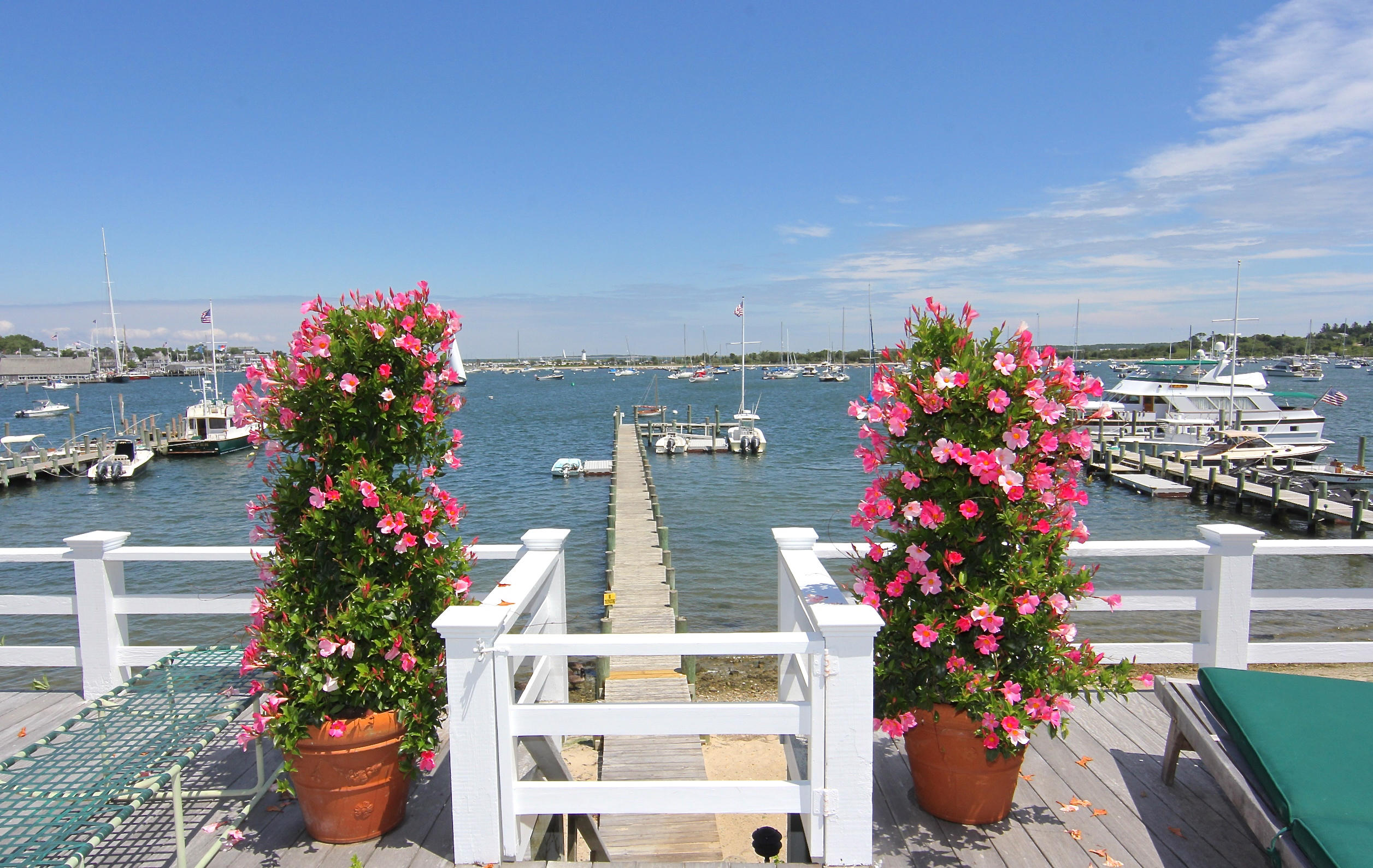 8 Beach Street Edgartown, MA 02539 - Photo 40 of 42 a flower garden with flowers and a table