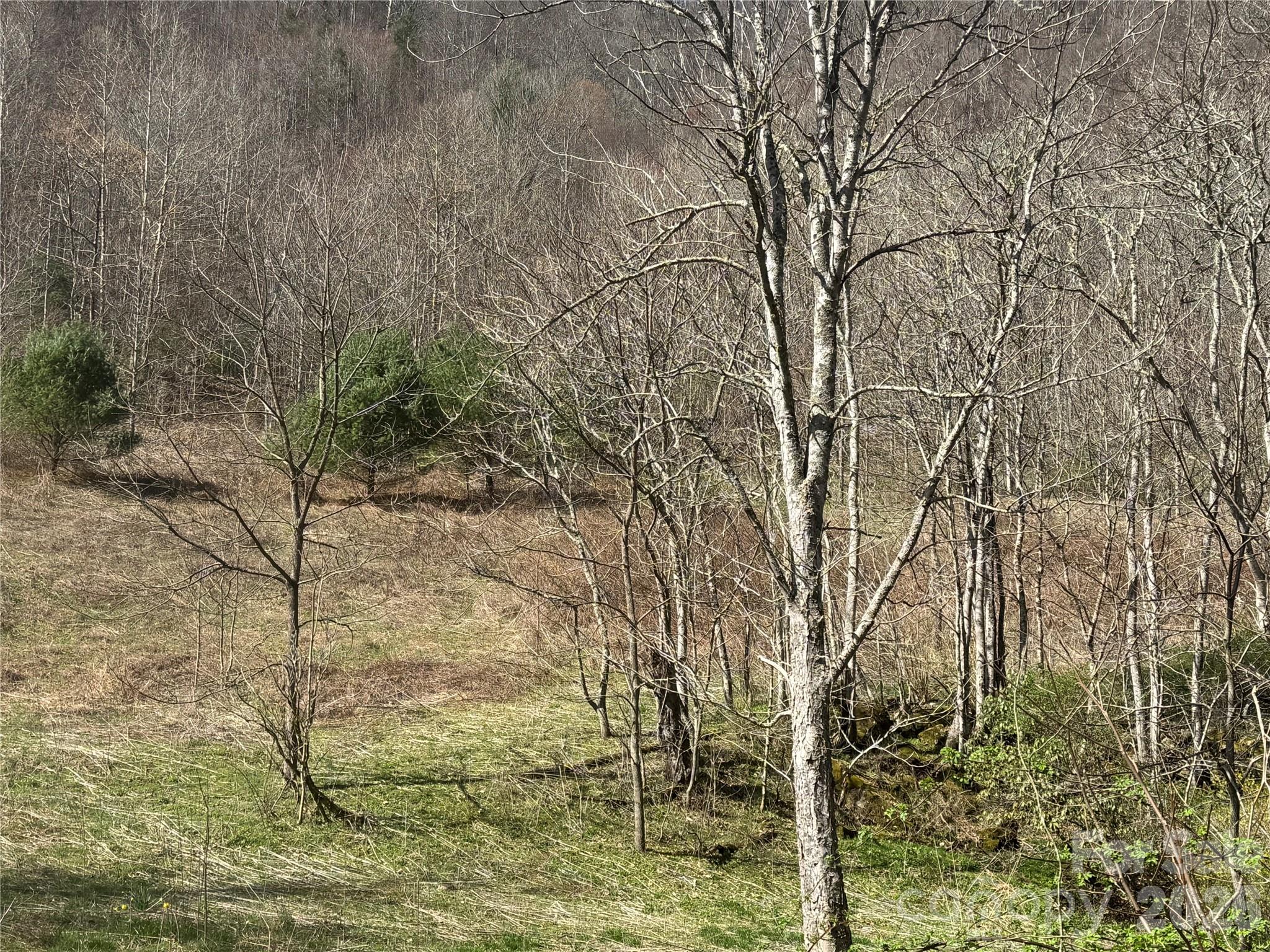 11288 Big Laurel Road Marshall, NC 28753 - Photo 12 of 33