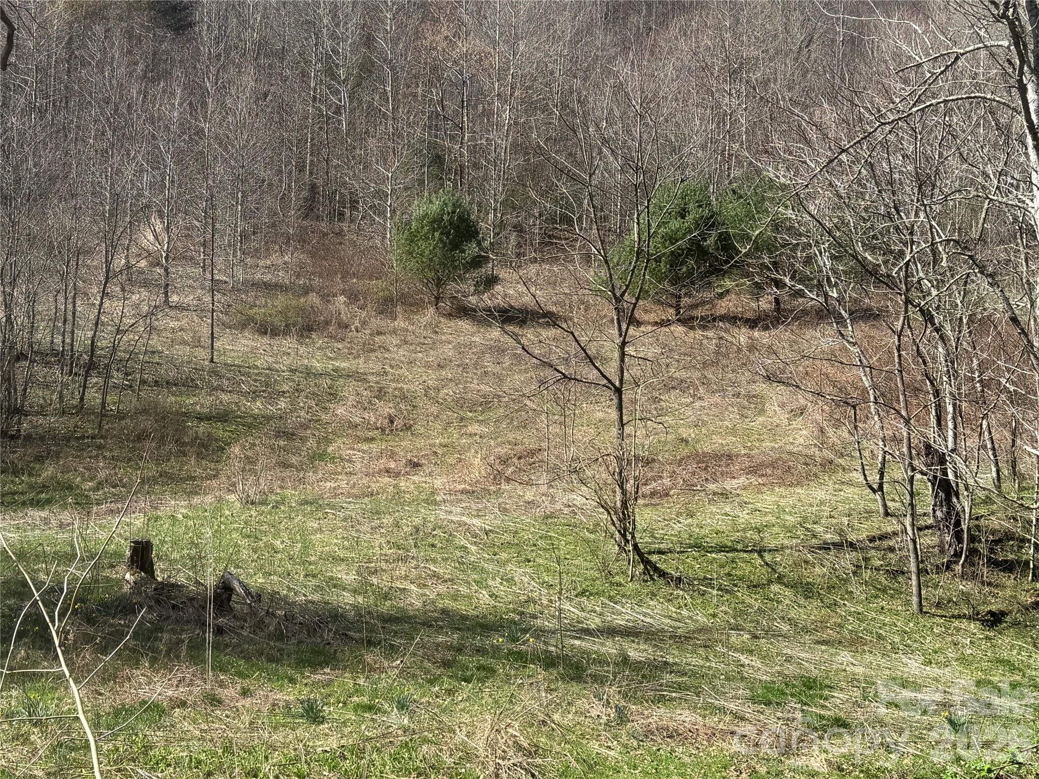 11288 Big Laurel Road Marshall, NC 28753 - Photo 15 of 33