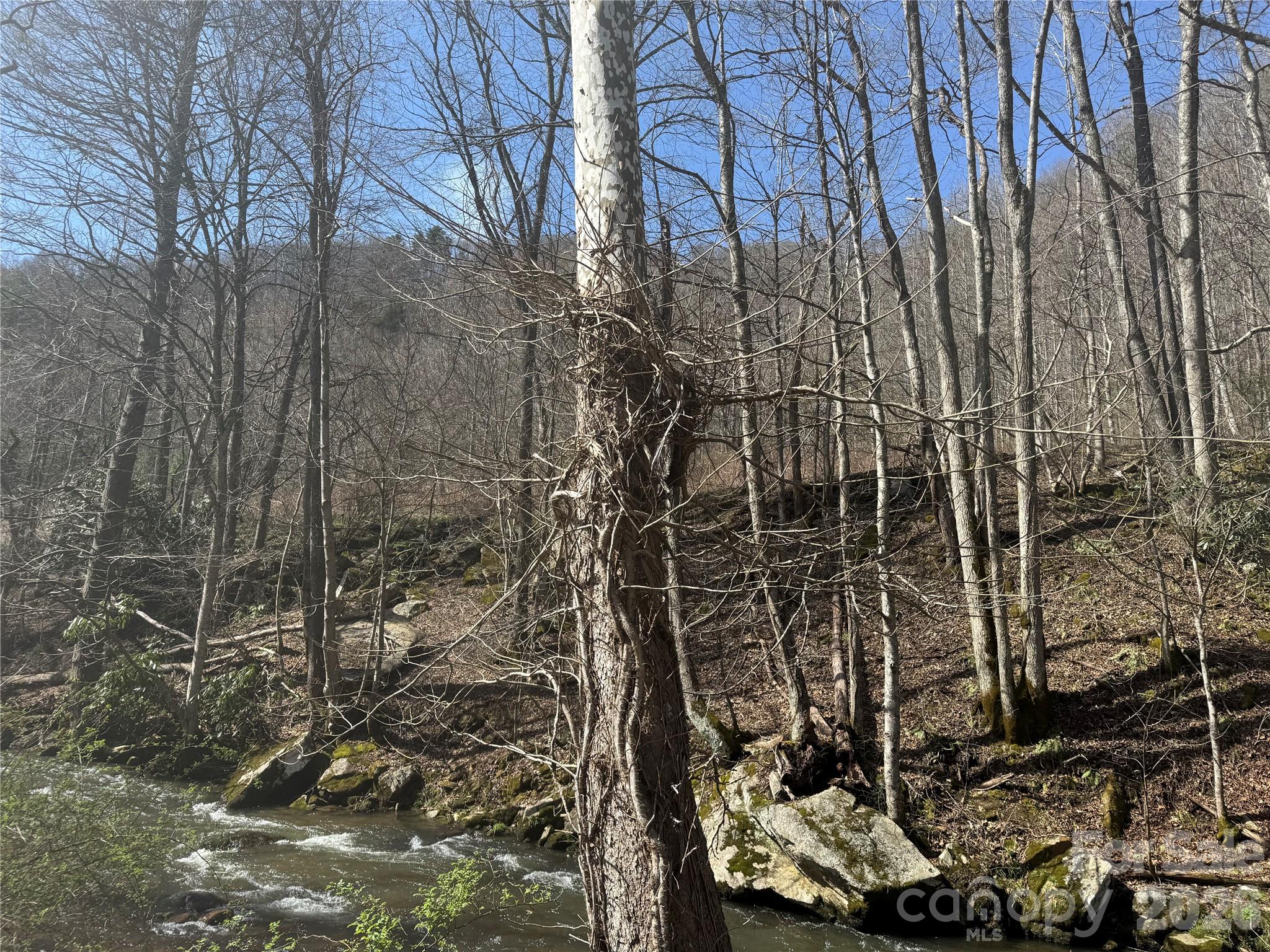 11288 Big Laurel Road Marshall, NC 28753 - Photo 16 of 33